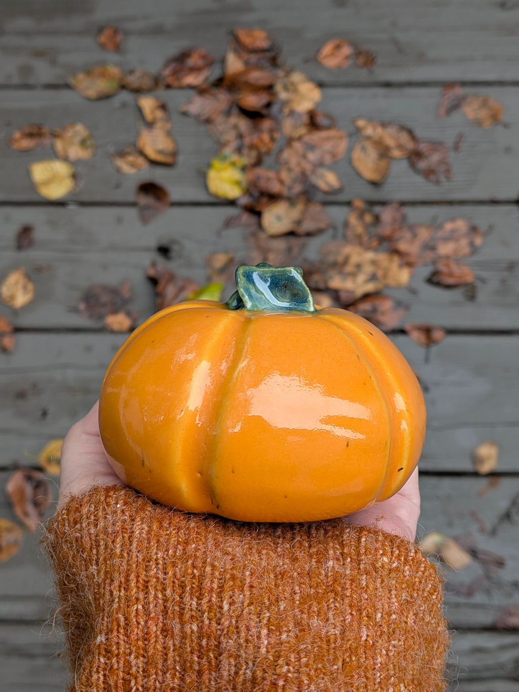 Little Orange Pumpkin 1