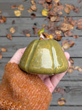 Little Green Pumpkin 4