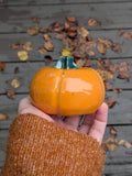 Little Orange Pumpkin 2