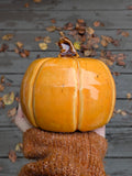 Large Orange Pumpkin