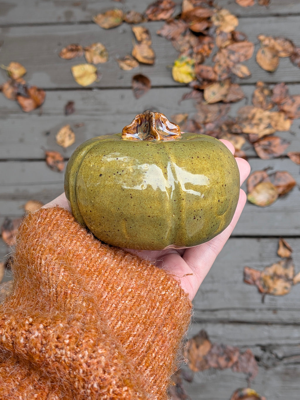 Little Green Pumpkin 3