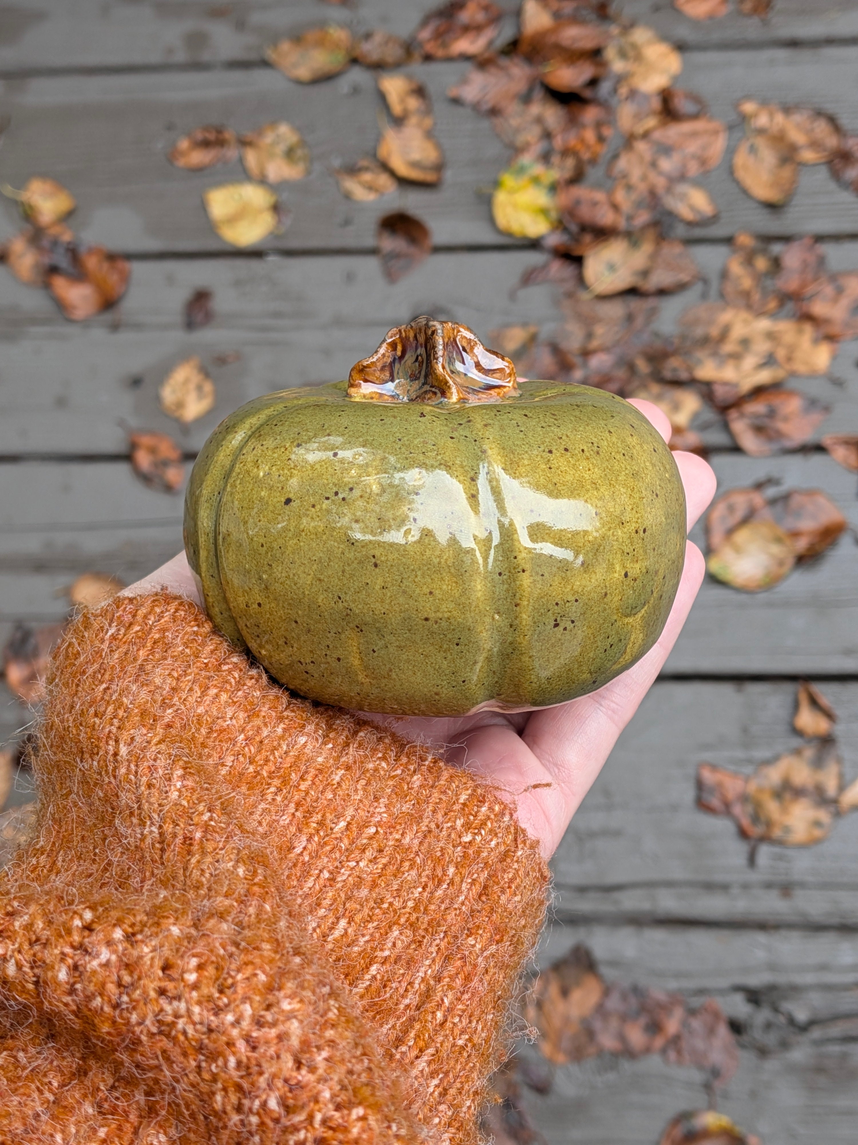Little Green Pumpkin 3